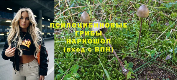 скорость Зеленокумск