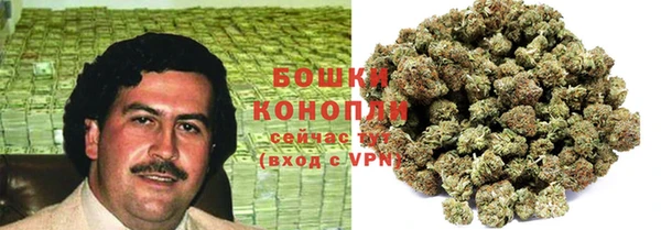 PSILOCYBIN Зеленодольск