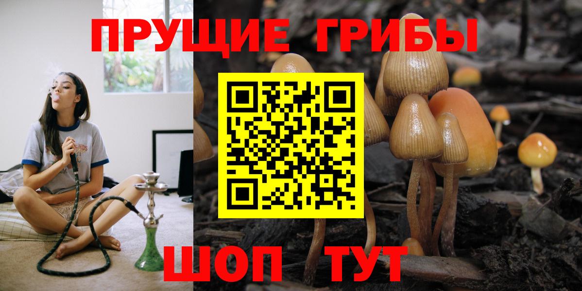 Псилоцибиновые грибы Cubensis Прокопьевск
