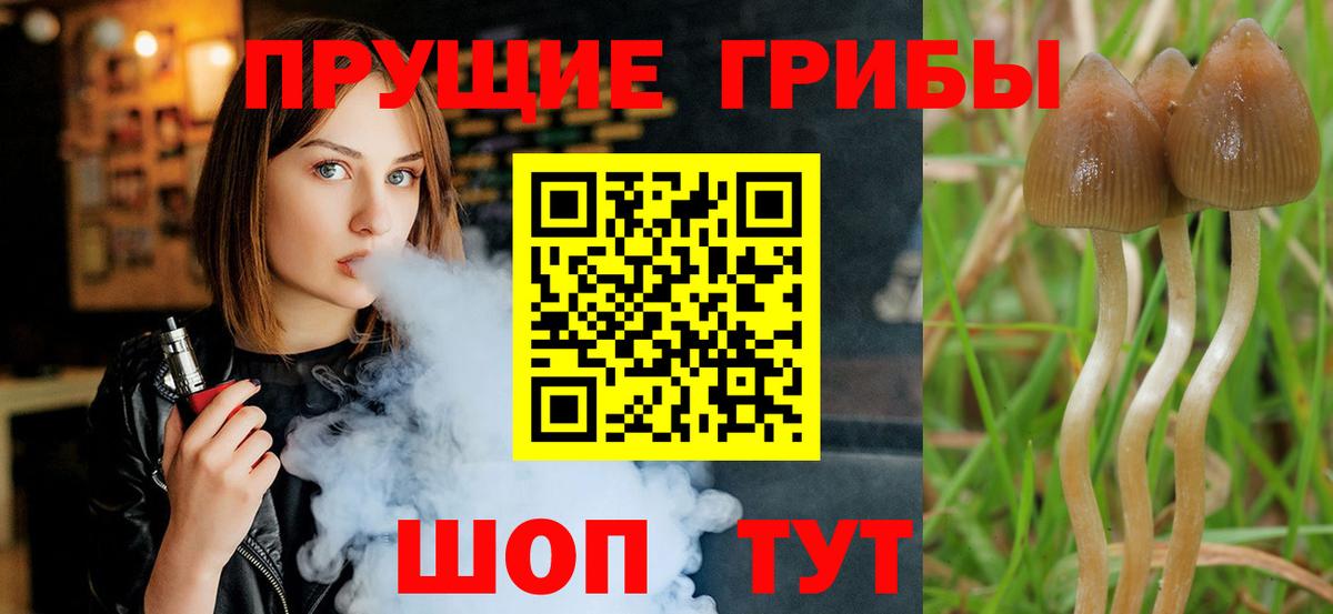 Прокопьевск  Галлюциногенные грибы мицелий  Псилоцибиновые грибы Magic Shrooms  Вход с VPN 